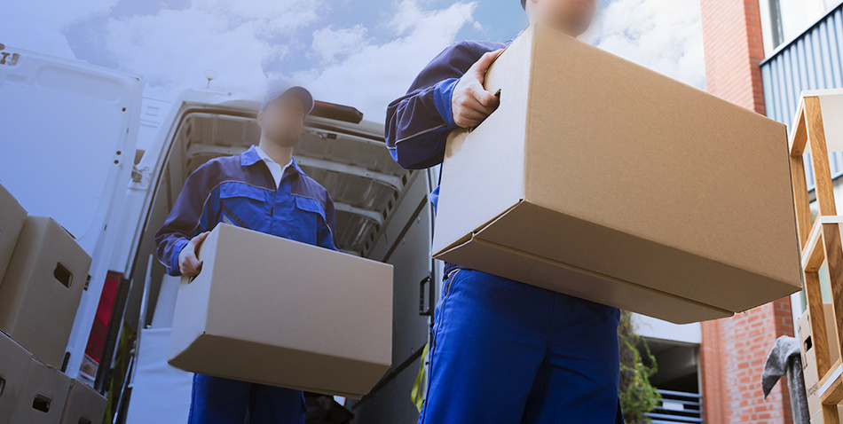 壹号平台注册链接_壹号平台下载安装